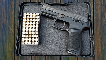 Gun Violence Restraining Orders (GVRO) - Practice Area