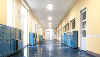 School Violence Restraining Orders - Practice Area